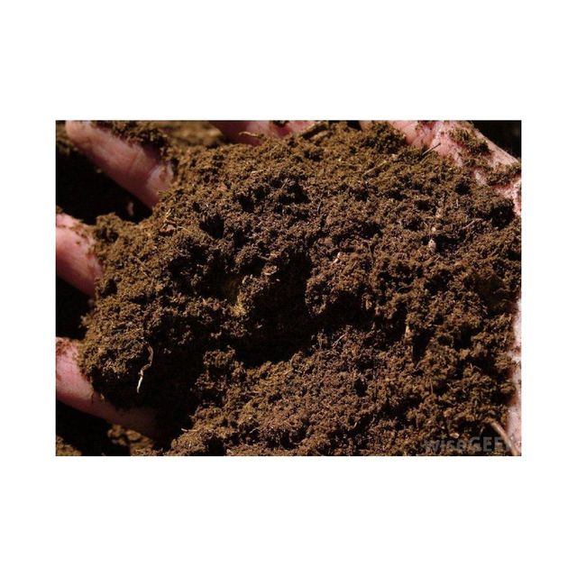 Premium quality peat moss at cheap price for agricultural soil improvement Peat moss available for sale - Image 5