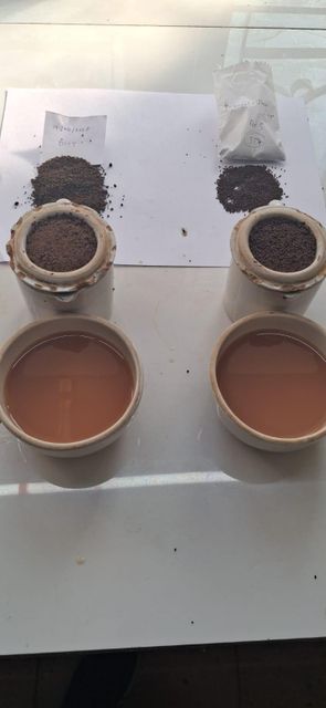 Ctc tea - Image 1