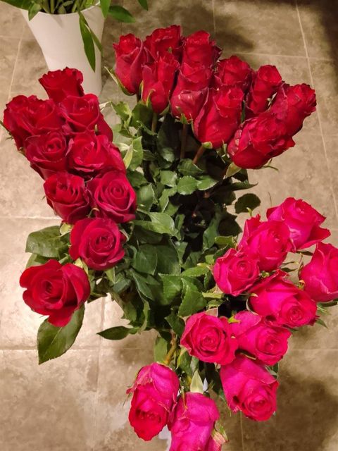 Fresh cut flowers - Image 3