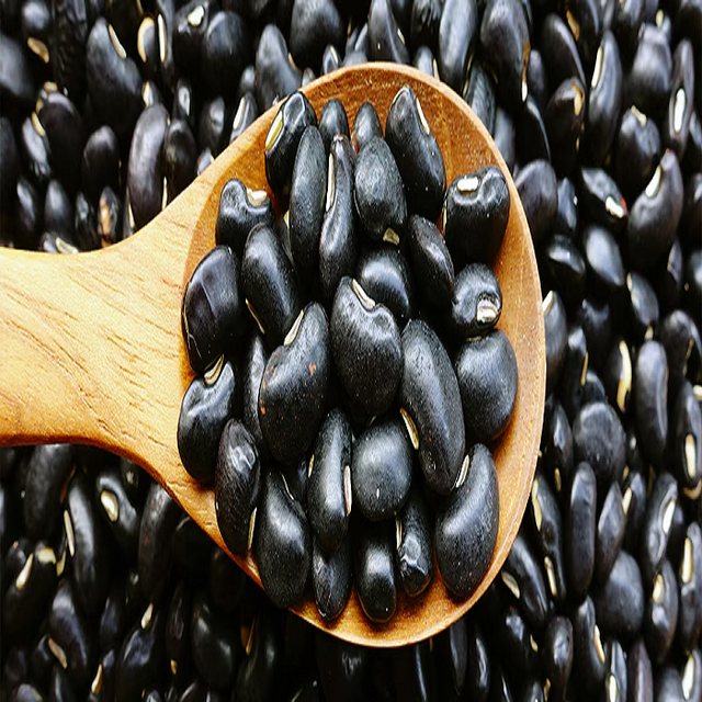 Buy Now Premium Organic Black Beans Dried Naturally 10kg Offered Low Wholesale Prices Perfect for Restaurants - Image 3