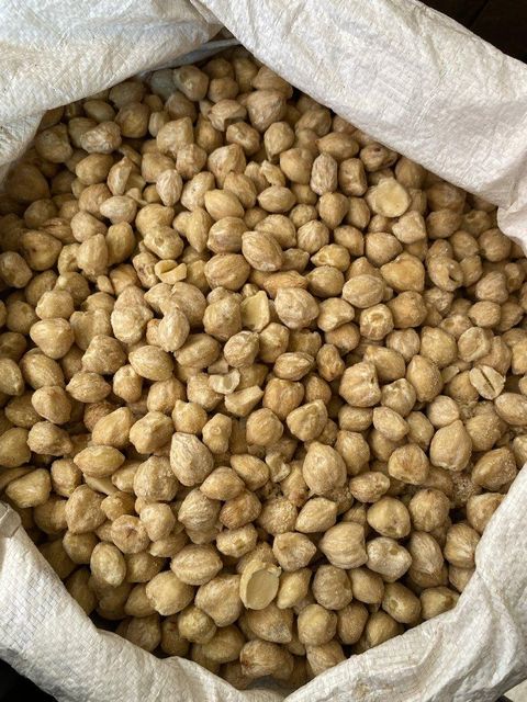 Whole Candlenut - Image 1
