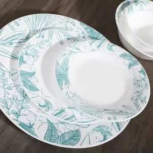 White Opal Glassware Dinner Set with Decal Glass Clay Origin China Color Unicolor HS Code 7010903000 Trademark OEM & ODM - Image 3