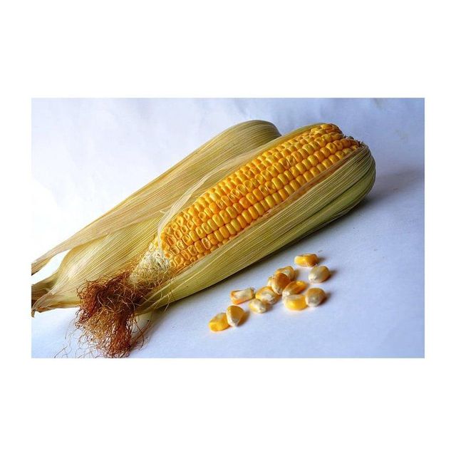 organic whole corn kernels for cooking soups salads roasting and making corn flour natural non gmo corn rich in fiber nutrients and natural flavor ideal for healthy diets vegetarian meals and everyday cooking - Image 3