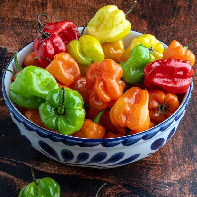 Fresh Red Habanero Peppers Organic Harvest Garden Grown Market - Image 5