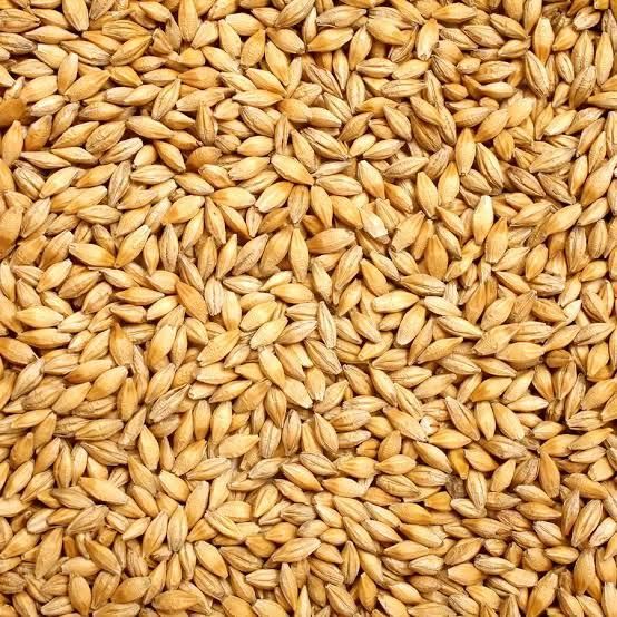 Milling wheat Protein Content 11.5% Origin Argentina, India And - Image 1