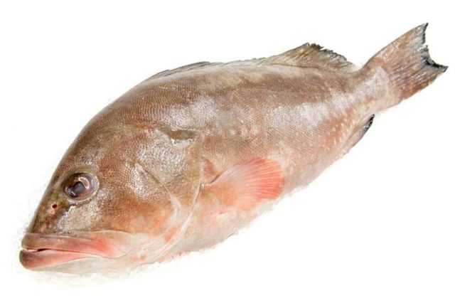 Best Selling Frozen Grouper Fish Whole/ Fillet from Seafood Distributors - Image 2