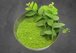 Curry Leaves Powder Packaging 25 kg - 50 kg Flavor Aromatic And Slightly Bitter Origin Cuisine South Indian Cuisine Health Benefits Supports Digestion And Heart Health - Image 2
