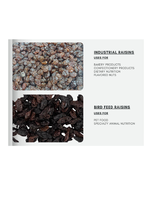 , Bird Feed Raisins, Indian BirdFeed Raisins,Raisin, BirdFeed Raisins bulk supplier from India, Jumbo Raisins - Image 3