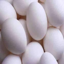 Fresh White Chicken Eggs Wholesale Distribution - Image 4