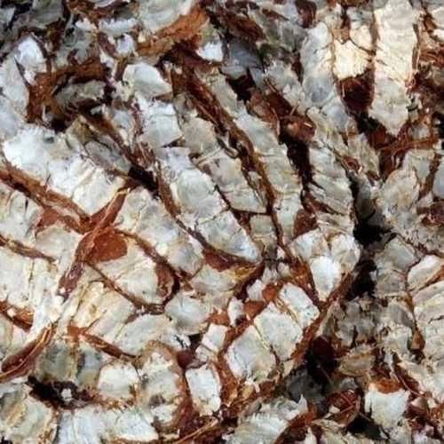 Tamarind - Image 2