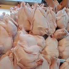Chicken Breast For Sale Superior quality whole frozen halal chicken - Image 4