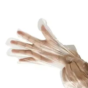 PE Disposable Plastic Gloves for Food Handing Kitchen Industry - Image 3