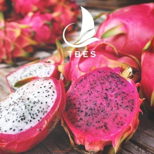 Frozen Red & White Dragon Fruit Dices (10x10mm / 20x20mm) - Image 3