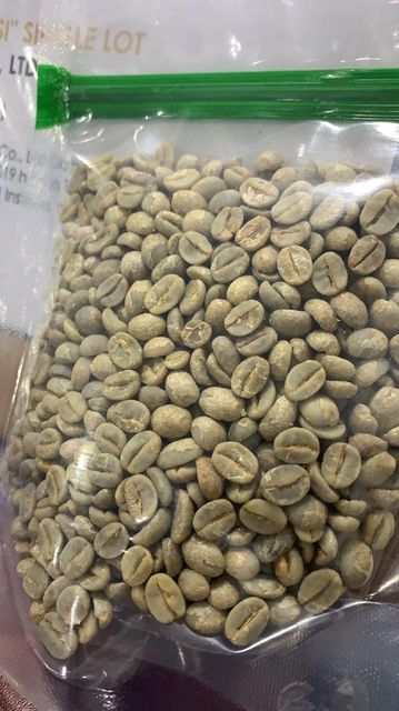 Affordable Green Coffee Arabica Beans Offering Strong Roasting Potential And Natural Flavor For Commercial Coffee - Image 3