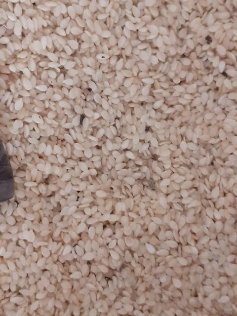 High Quality Organic Sesame Seeds Natural Planting Type Raw Food Grade Dried Available Factory Supply Bulk Wholesale Price - Image 4