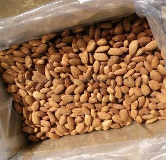 Almond Kernels – Grade 1 Quality Raw, unseasoned Natural Flavor - Image 4