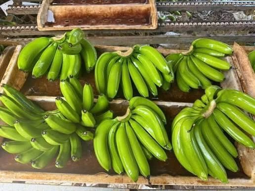🍌 Premium Export-Quality Fresh Bananas | Naturally Ripe & Chemical-Free | Kenhar enterprises - Image 4
