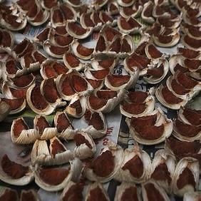 Vietnamese Fresh and Dried Betel Nuts Ready to Ship – product photo 5, product detail gallery