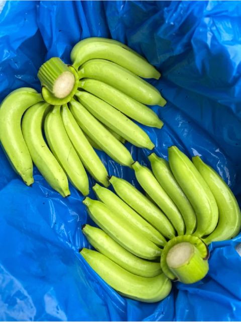 Fresh Green Cavendish Bananas in 13.5kgs Carton Box Style Fresh Origin Thailand Type BANANA, Banana Color Green, Yellow - Image 4