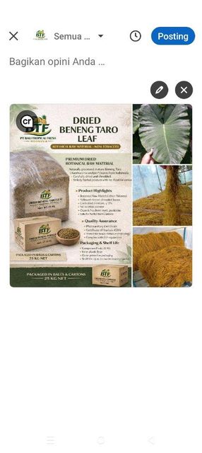 Dried beneng taro leaf - Image 1
