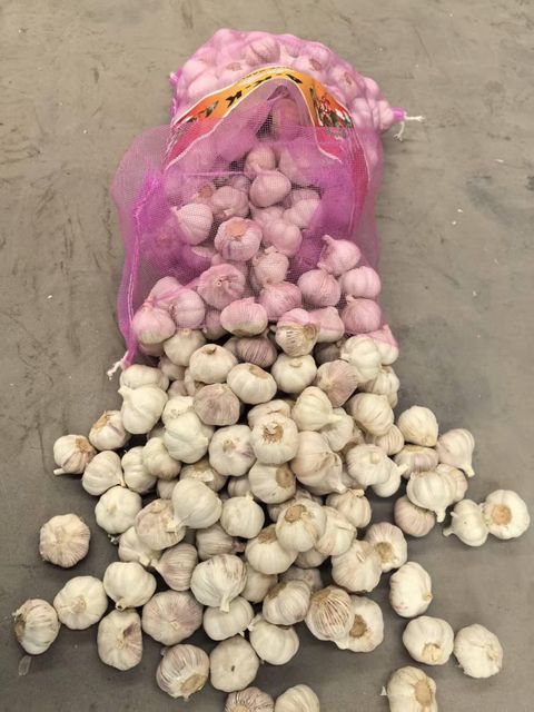 fresh new crop pure white and normal white garlic with best quality - Image 5