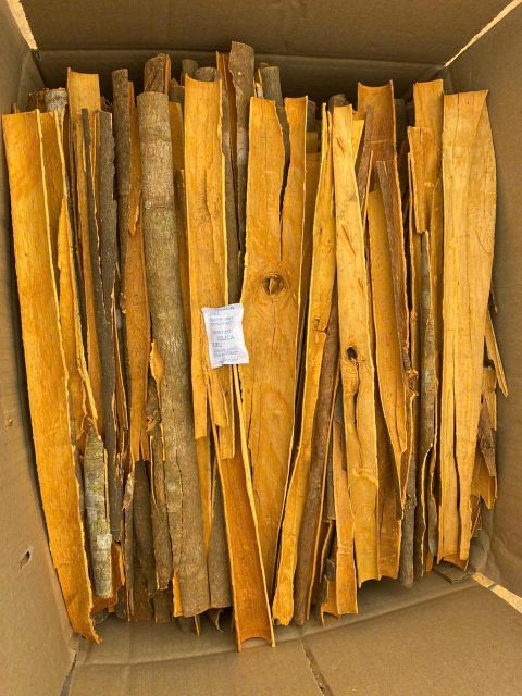 Cinnamon - Image 1
