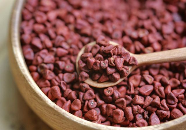 Pure Annatto Seeds | Bixa Orellana Raw Material | Bulk Manufacturer & Exporter from USA - Image 2