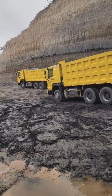 Bituminous Coal Dosage per Unit Other Features No Added Sugar, Organic Area of Application Energy and Vitality - Image 2