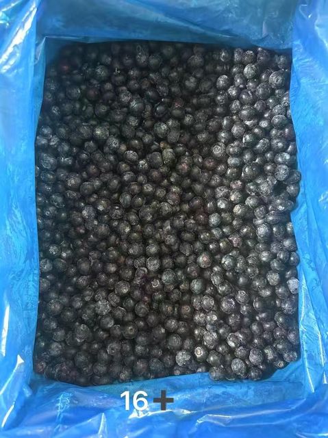 frozen blueberry Grade A Storage Type frozen Purity 100% Pure Fruits Color Natural Blueberry Color Texture Close To Fresh Fruits After Thawing - Image 2