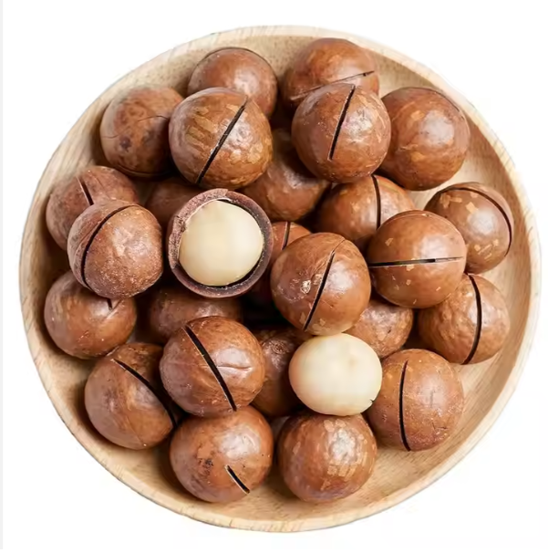 Wholesale Premium Quality Macadamia Nuts Grade A Flavor Buttery Texture Creamy Shelf Life 24month Source Trusted Farms Nutritional Value Exceptional - Image 2