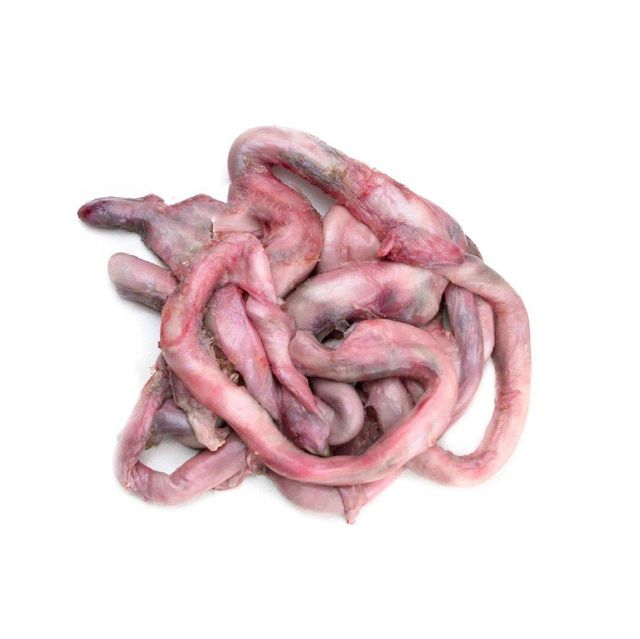 Beef pizzle packed in bulk cartons for export and long term storage - Image 5