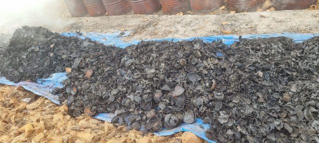 Natural Coconut Shell Charcoal Grade Premium Moisture 5%% Max Sparks No Sparks Packaging PP Bag Hardness 85%% Min Ash Content 3%% Max - Image 2