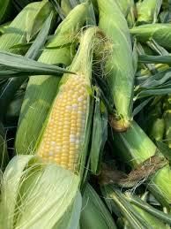 Sweet corn - Image 1