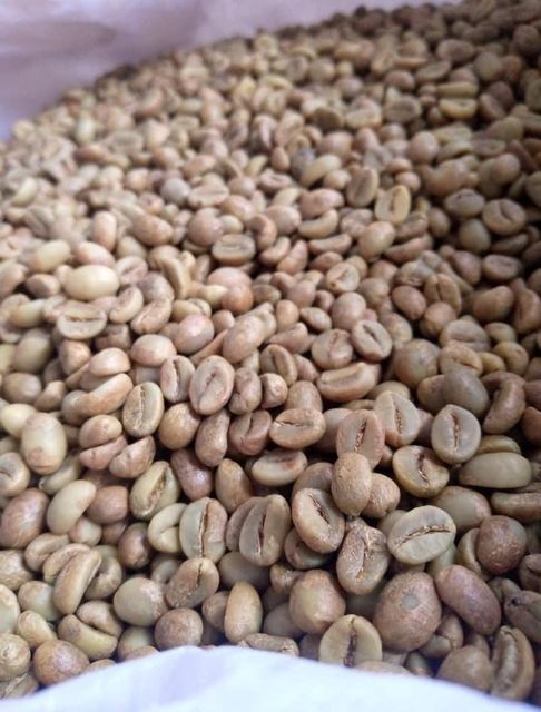 New Harvest Green Bean Coffee - Robusta/Arabica Premium Coffee Beans - Best Selling at Good Price - Image 4