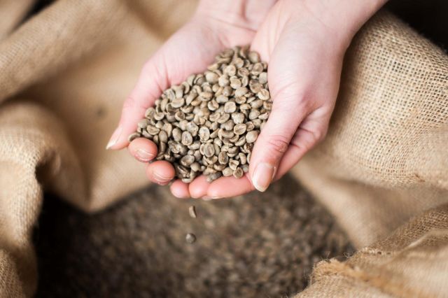 Directly Wholesaled Premium Quality Freshly Roasted Dried Bulk Brazilian Organic Blended Arabica Robusta Coffee Beans Hot - Image 3