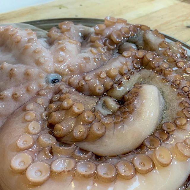 Frozen Fresh Octopus Carefully Processed For Natural Taste Preservation And Reliable Supply For Seafood Importers - Image 2