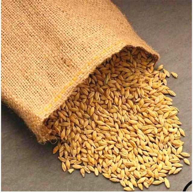 Bulk Barley Grain With Rich Nutrients Premium Barley Grain Ideal For Animal Feed And Food Industry Buyers - Image 5