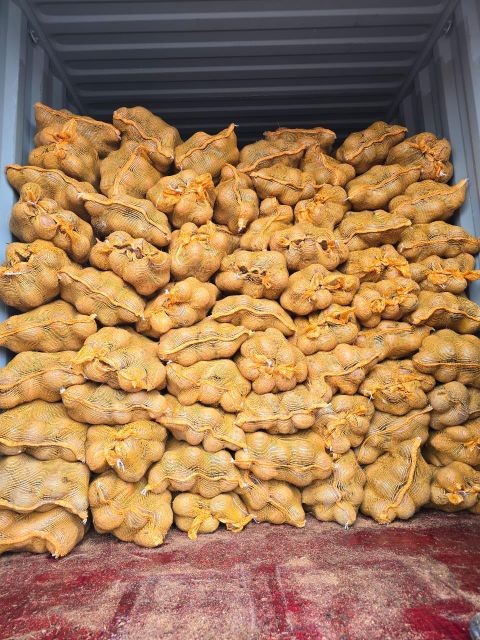 DE-HUSKED/DRY COCONUTS Organic No Form Whole Origin GUYANA Degree of Processing Fresh - Image 3