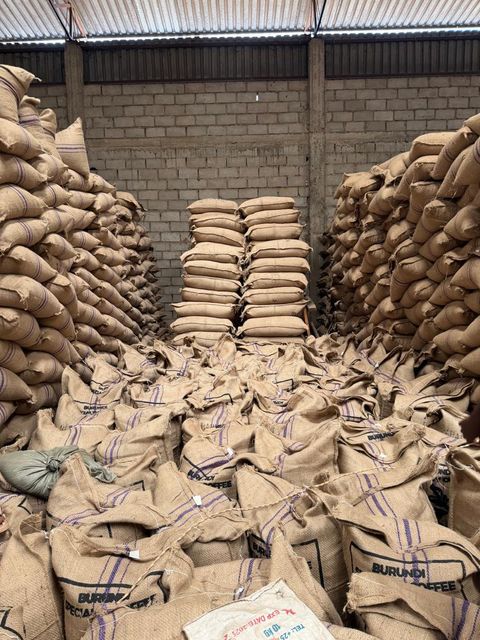 Green arabica Coffee single origin Burundi - Image 1