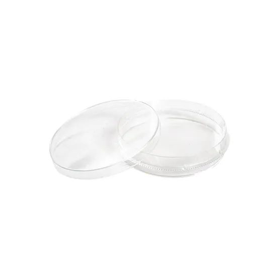 High Quality Disposable Plastic Petri Dishes Various Sizes Sterile for Lab Use - Image 3
