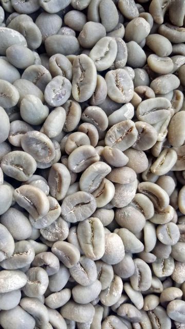 Premium Gayo Arabica Fully Washed - Image 1