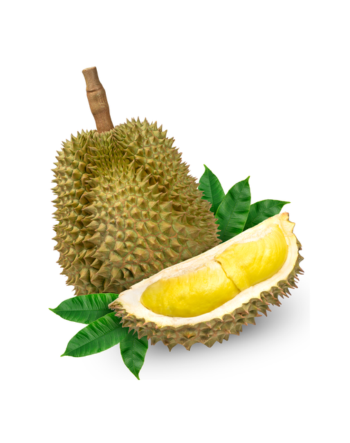 Golden Pillow Durian fruit Thailand Fresh Durian Monthong - Image 5