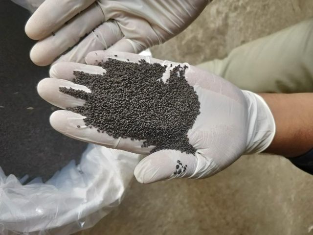 Basil seed, Basil Seeds , Raw Basil Seeds , Basil Seed bulk supplier from india, Basil Seed - Image 1