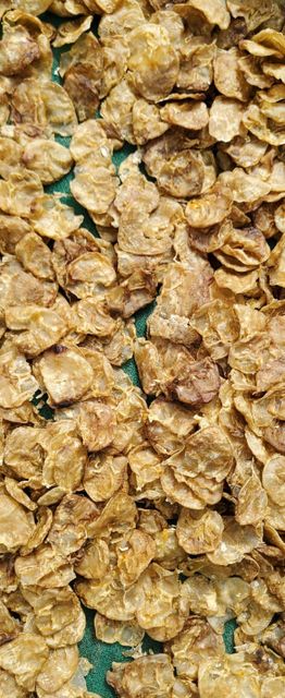Cat Fish Maw Dry Size All size Texture Dried Packaging 20 kg Style Open & close Quality Standard Highest Standards Flavor Preserved With Original - Image 3