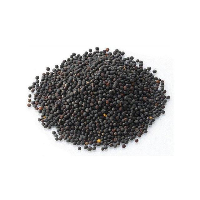 Rapeseed bulk supply at factory discount price for global importers - Image 3