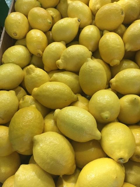 Class 1 export quality Fresh Eureka Lemons available - Image 3