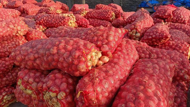 Premium Egyptian Yellow Onions - Export Quality - Grade A Color Golden Origin Egypt Texture Firm Flavor Pungent Shelf Life Long - Image 3