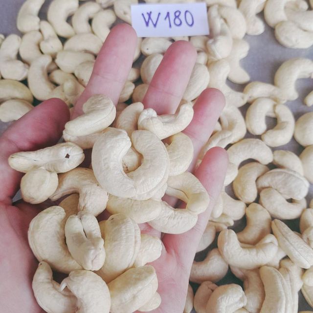 Premium Raw Cashew Nuts Rich In Natural Nutrients Cashew Nuts With 100% Freshness For Wholesale Supply And Bulk Buyers - Image 5