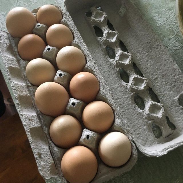 Fresh Table Chicken Eggs With 100% Natural Quality Chicken Eggs Delivered For Wholesale And International Buyers - Image 5