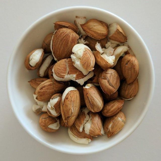 High Quality Organic Whole Dried Apricot Kernels Sweet Taste Available in Bulk For Sale - Image 2